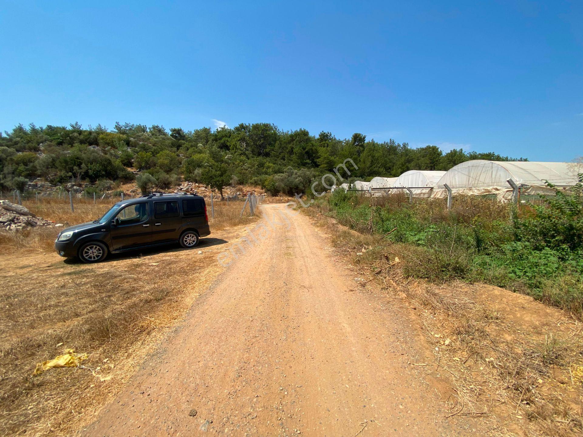 Remax Arma'dan Menderes Çakaltepe'de Satılık Rızai Taksimli — fotoğraf 5