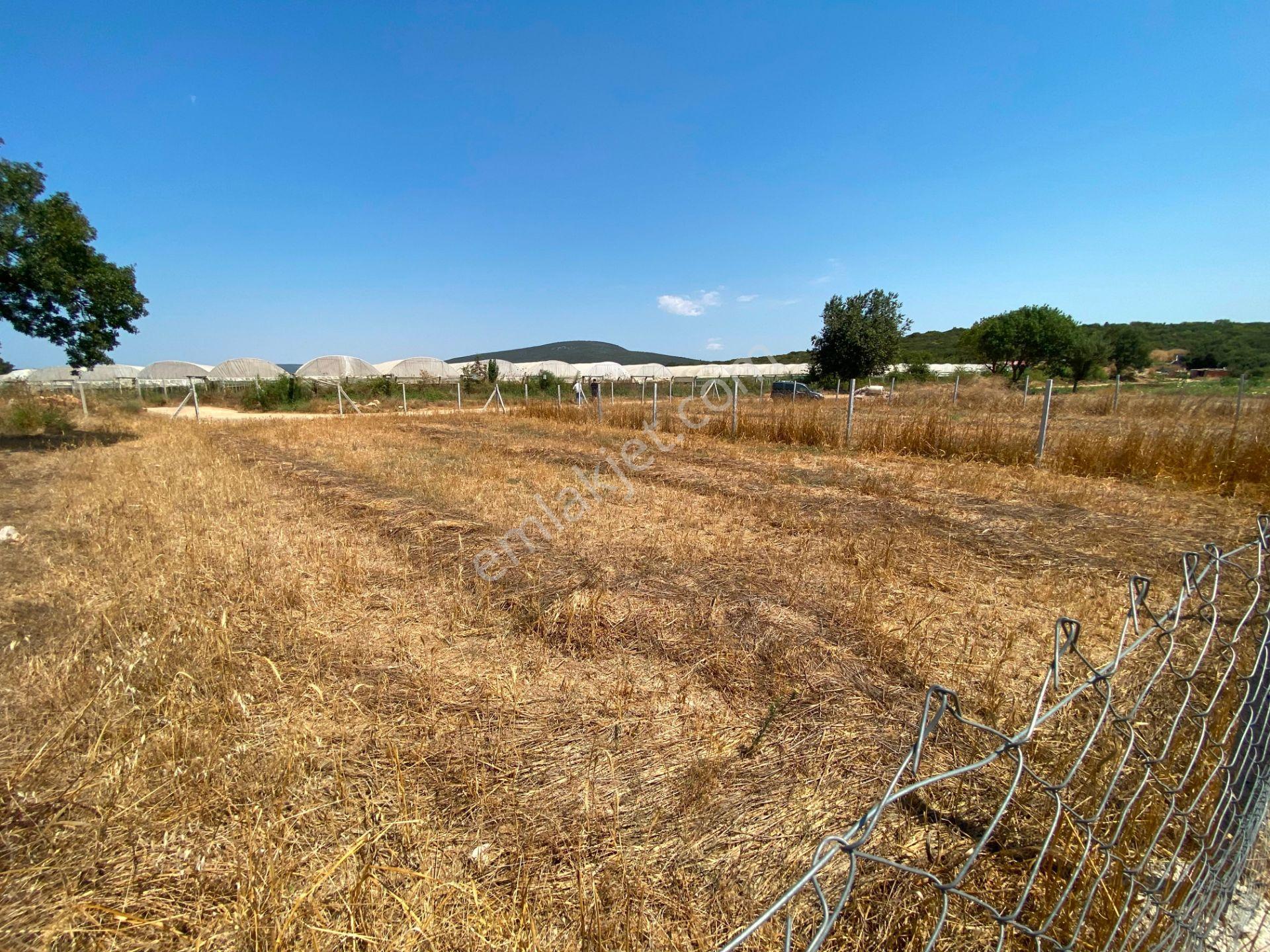 Remax Arma'dan Menderes Çakaltepe'de Satılık Rızai Taksimli — fotoğraf 6