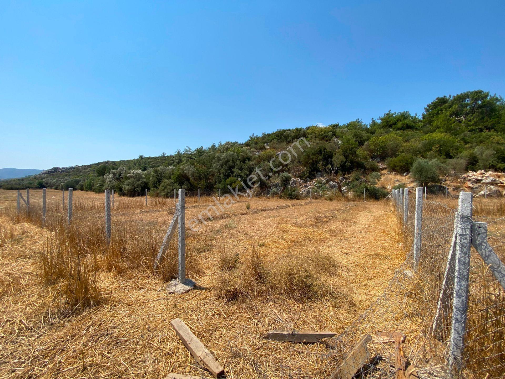 Remax Arma'dan Menderes Çakaltepe'de Satılık Rızai Taksimli — fotoğraf 7