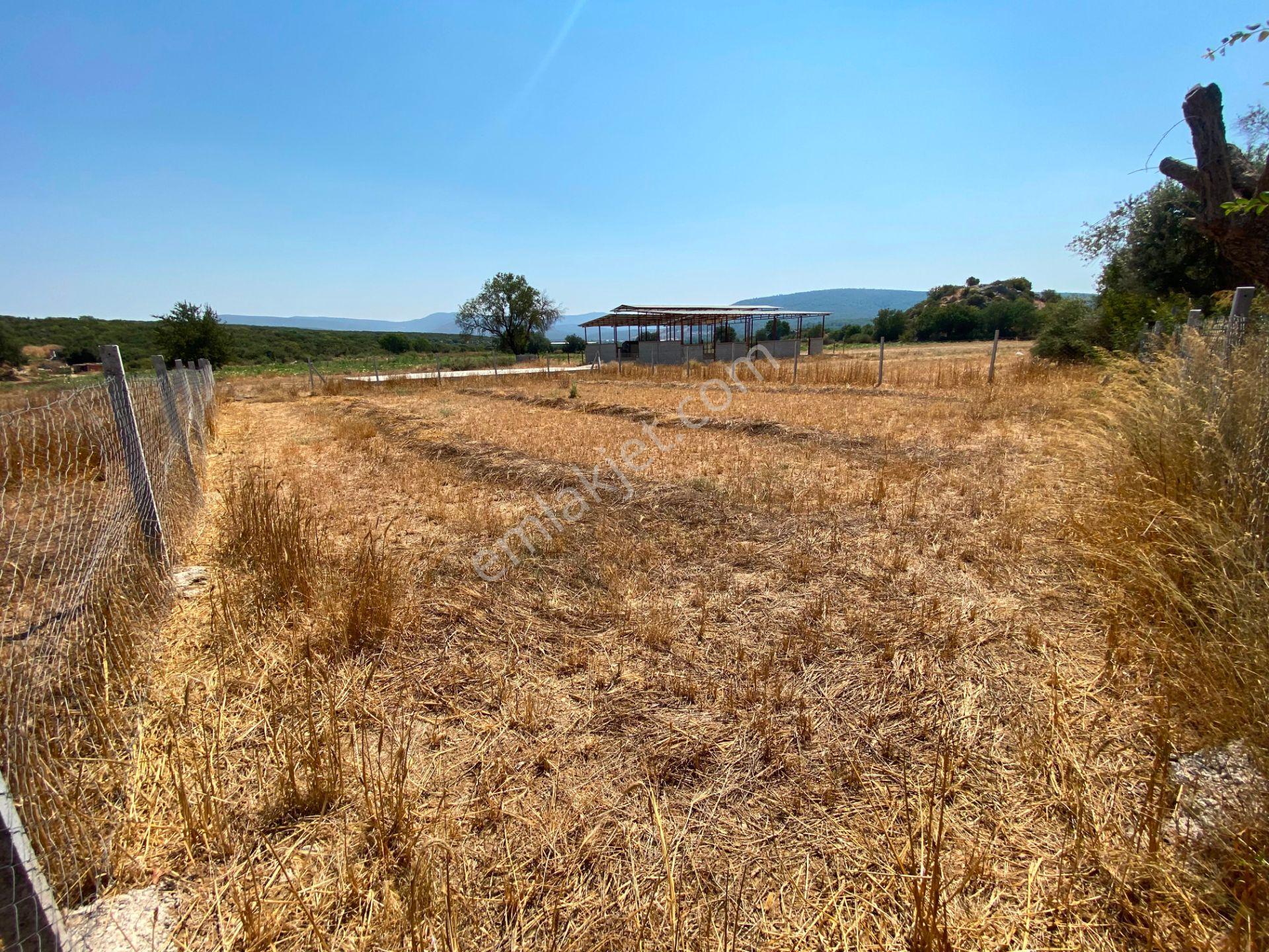 Remax Arma'dan Menderes Çakaltepe'de Satılık Rızai Taksimli — fotoğraf 13