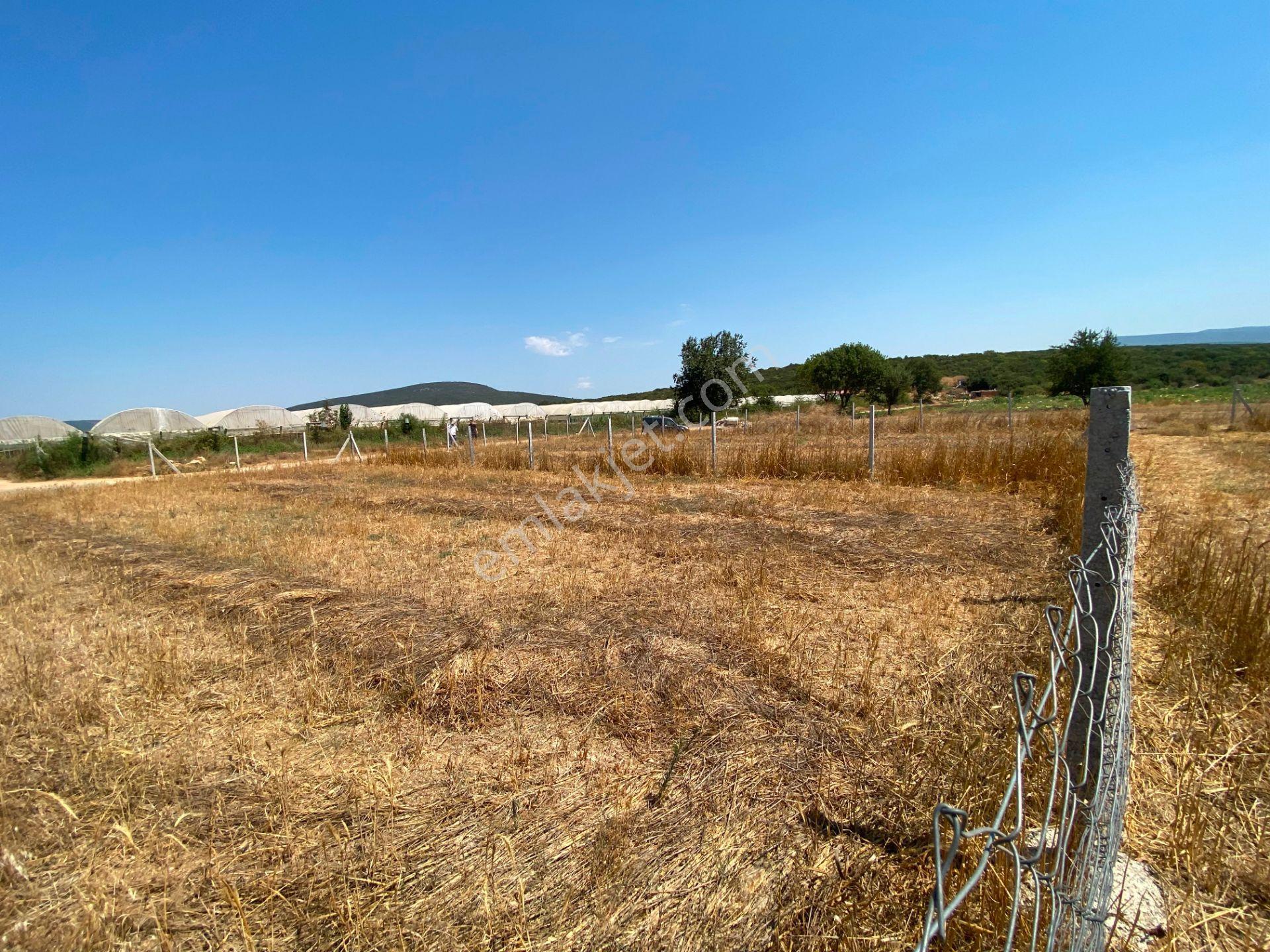 Remax Arma'dan Menderes Çakaltepe'de Satılık Rızai Taksimli — fotoğraf 14