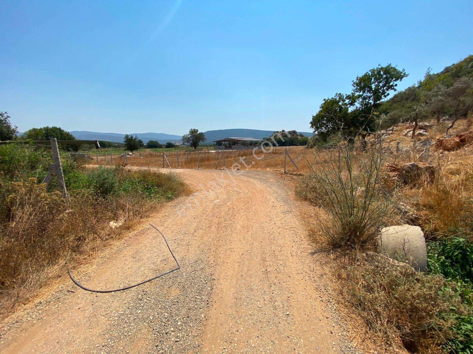 Remax Arma'dan Menderes Çakaltepe'de Satılık Rızai Taksimli — fotoğraf 15