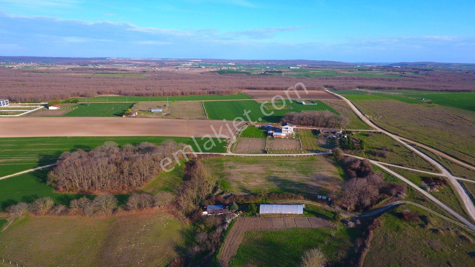 Ege Gayrimenkul'den Büyükçavuşlu'da 6880 M2 Tarla — fotoğraf 6