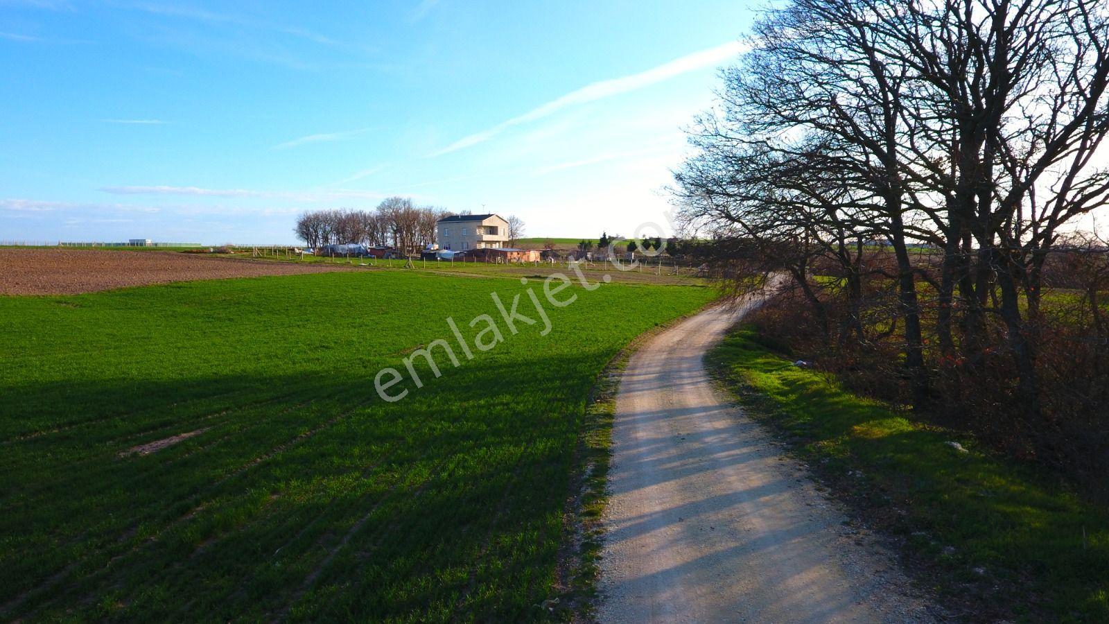 Ege Gayrimenkul'den Büyükçavuşlu'da 6880 M2 Tarla — fotoğraf 9