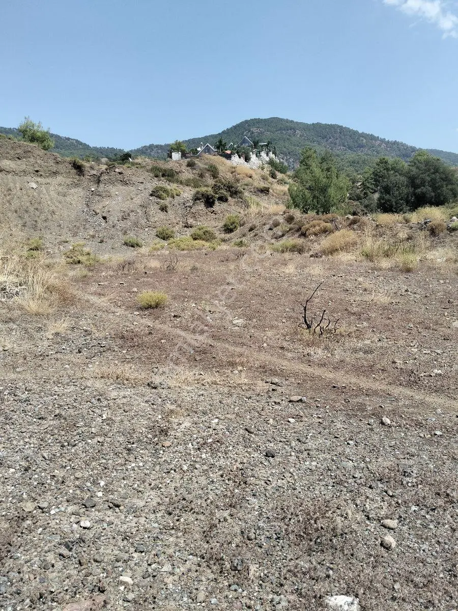 İksahomes Dan Satılık Müstakil 2.719+ 670=3.390 M2 Tarla/parsel — fotoğraf 4