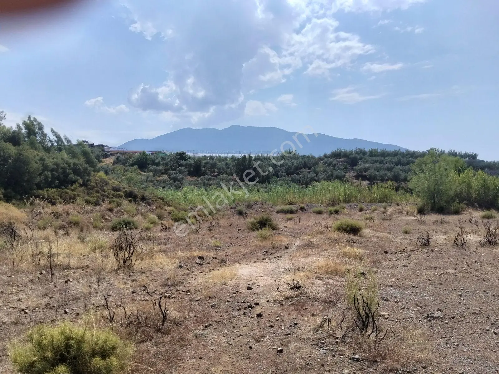 İksahomes Dan Satılık Müstakil 2.719+ 670=3.390 M2 Tarla/parsel — fotoğraf 7