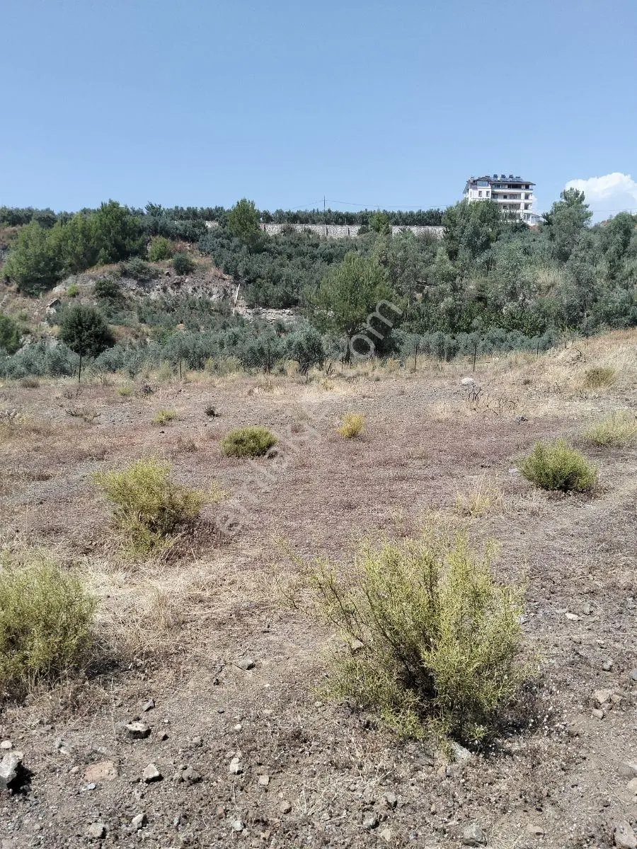 İksahomes Dan Satılık Müstakil 2.719+ 670=3.390 M2 Tarla/parsel — fotoğraf 9