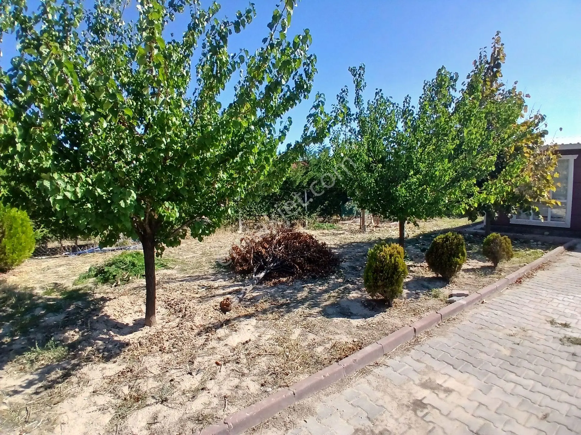 Kc Emlak'dan Ayaş Tekke'de 500m2 Evli Depolu Meyva Ağaçlı Bahçe — fotoğraf 4