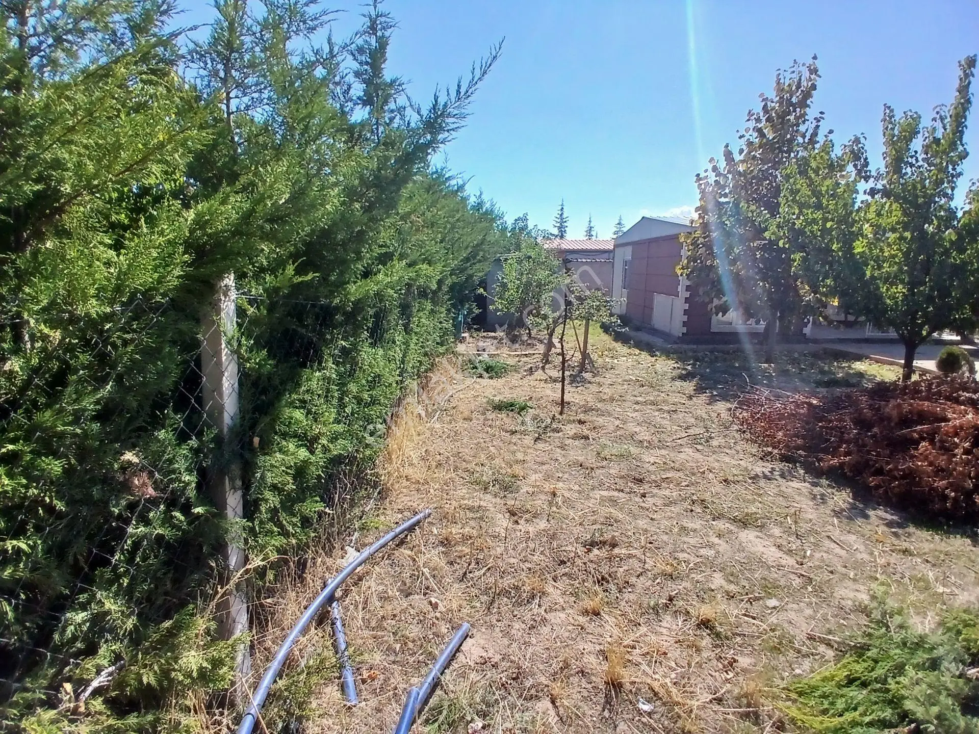 Kc Emlak'dan Ayaş Tekke'de 500m2 Evli Depolu Meyva Ağaçlı Bahçe — fotoğraf 6