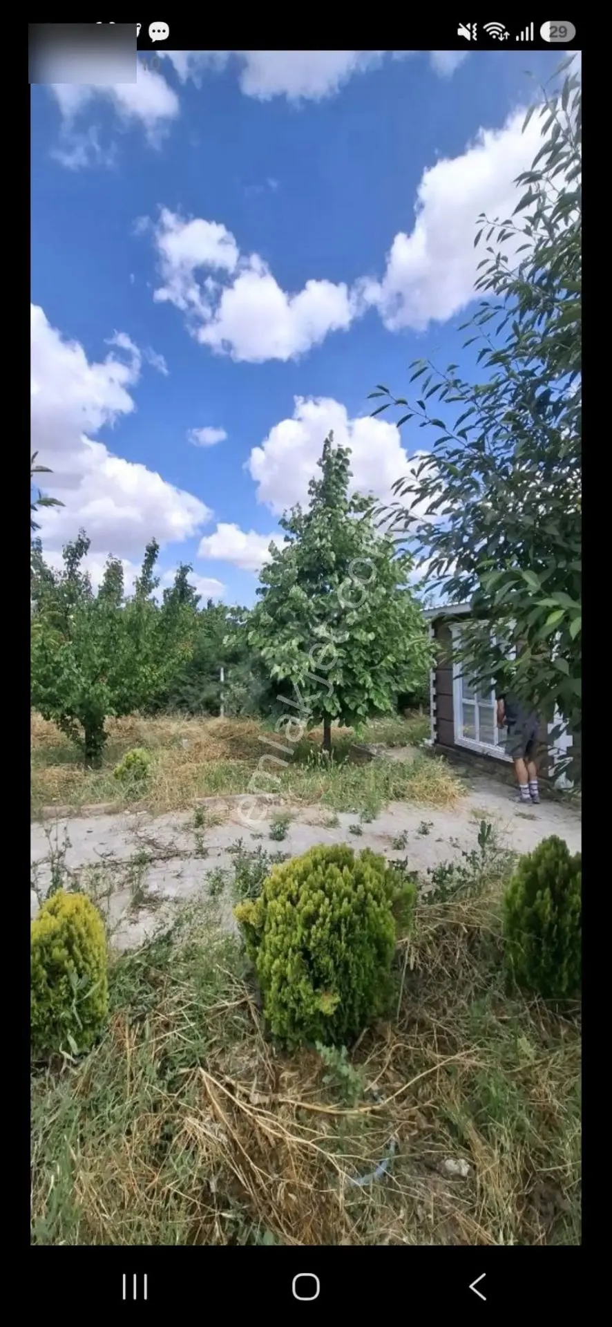 Kc Emlak'dan Ayaş Tekke'de 500m2 Evli Depolu Meyva Ağaçlı Bahçe — fotoğraf 12
