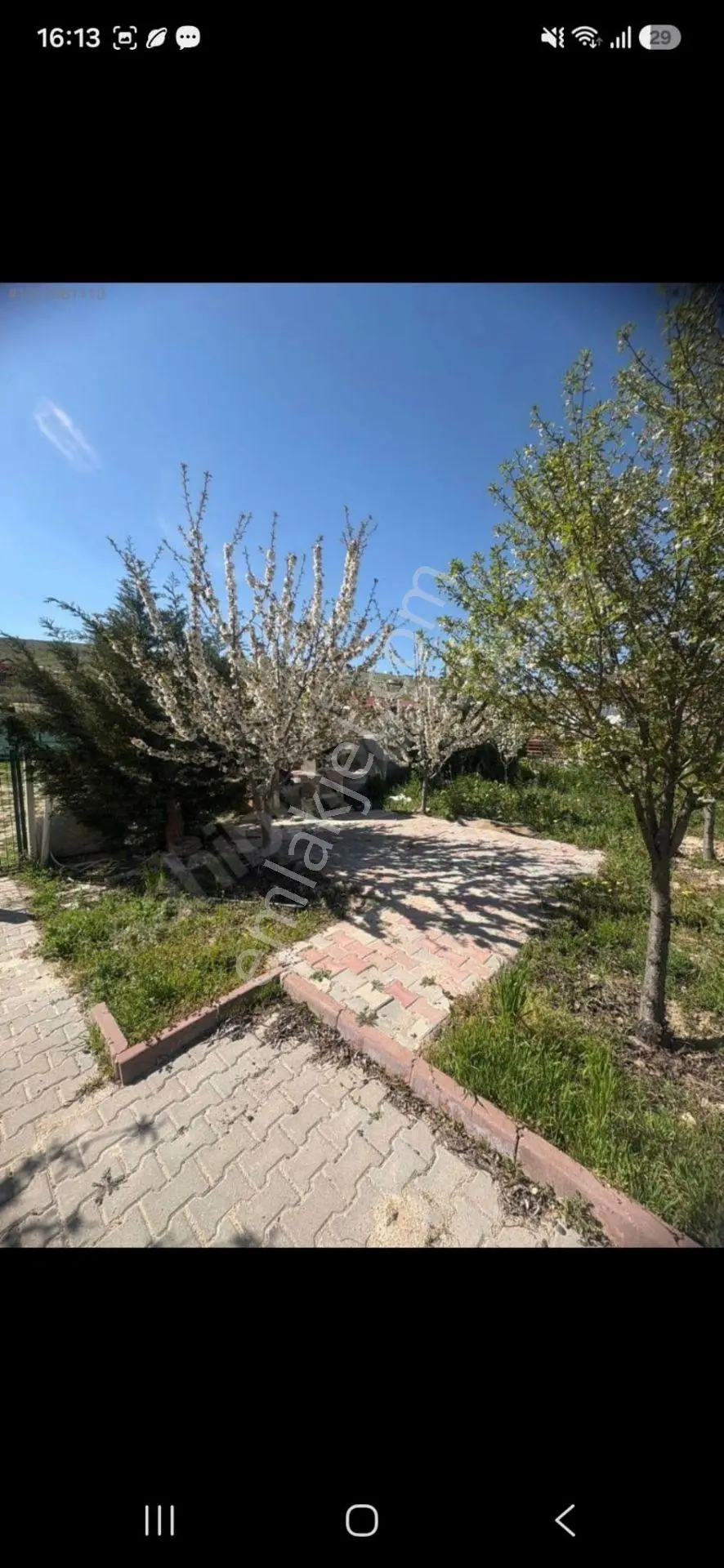 Kc Emlak'dan Ayaş Tekke'de 500m2 Evli Depolu Meyva Ağaçlı Bahçe — fotoğraf 13