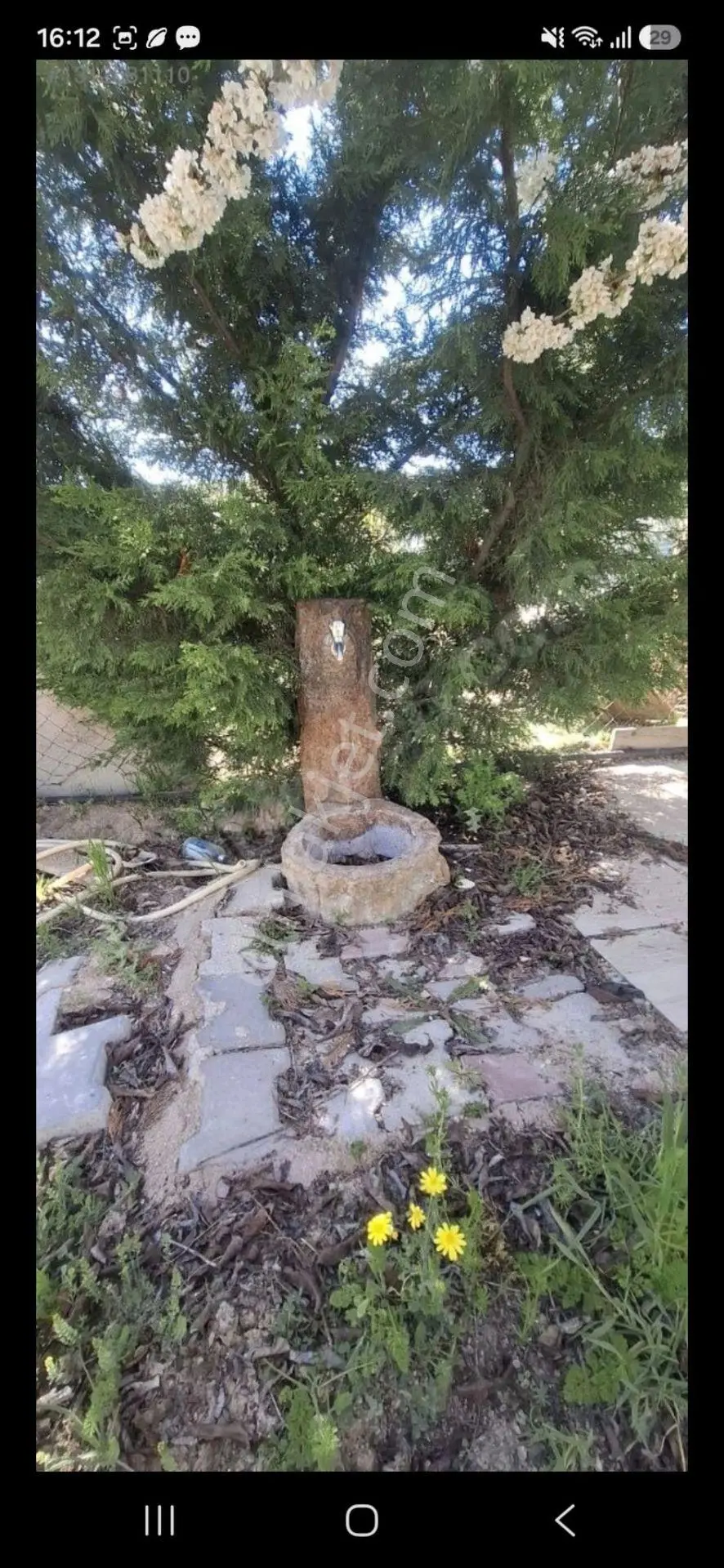 Kc Emlak'dan Ayaş Tekke'de 500m2 Evli Depolu Meyva Ağaçlı Bahçe — fotoğraf 15