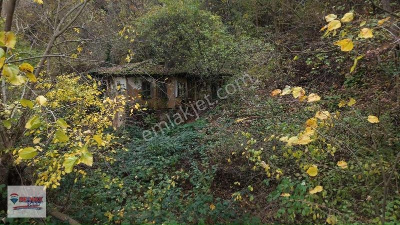Remax Şehir Altınova Örencik'de Köy İçi İmarlı Fırsat Tarla — fotoğraf 10