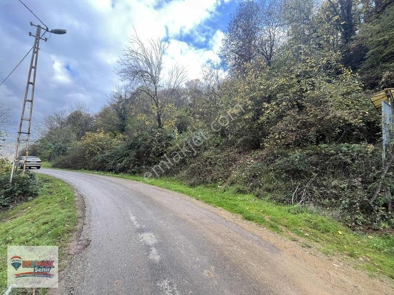 Remax Şehir Altınova Örencik'de Köy İçi İmarlı Fırsat Tarla — fotoğraf 14
