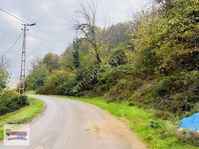 Remax Şehir Altınova Örencik'de Köy İçi İmarlı Fırsat Tarla — fotoğraf 21