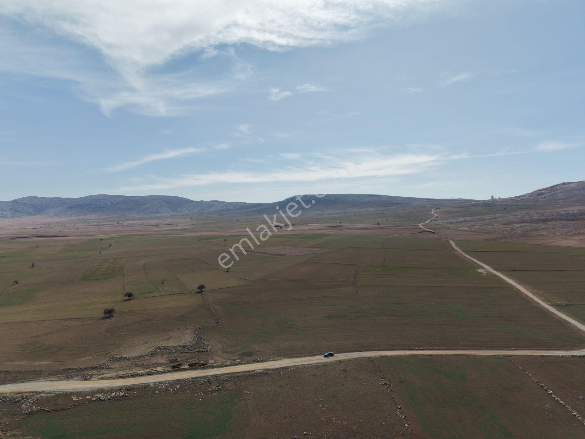 Meram Kayıhüyük'te Yola Cephe 5887 M² Satılık Tarla — fotoğraf 2