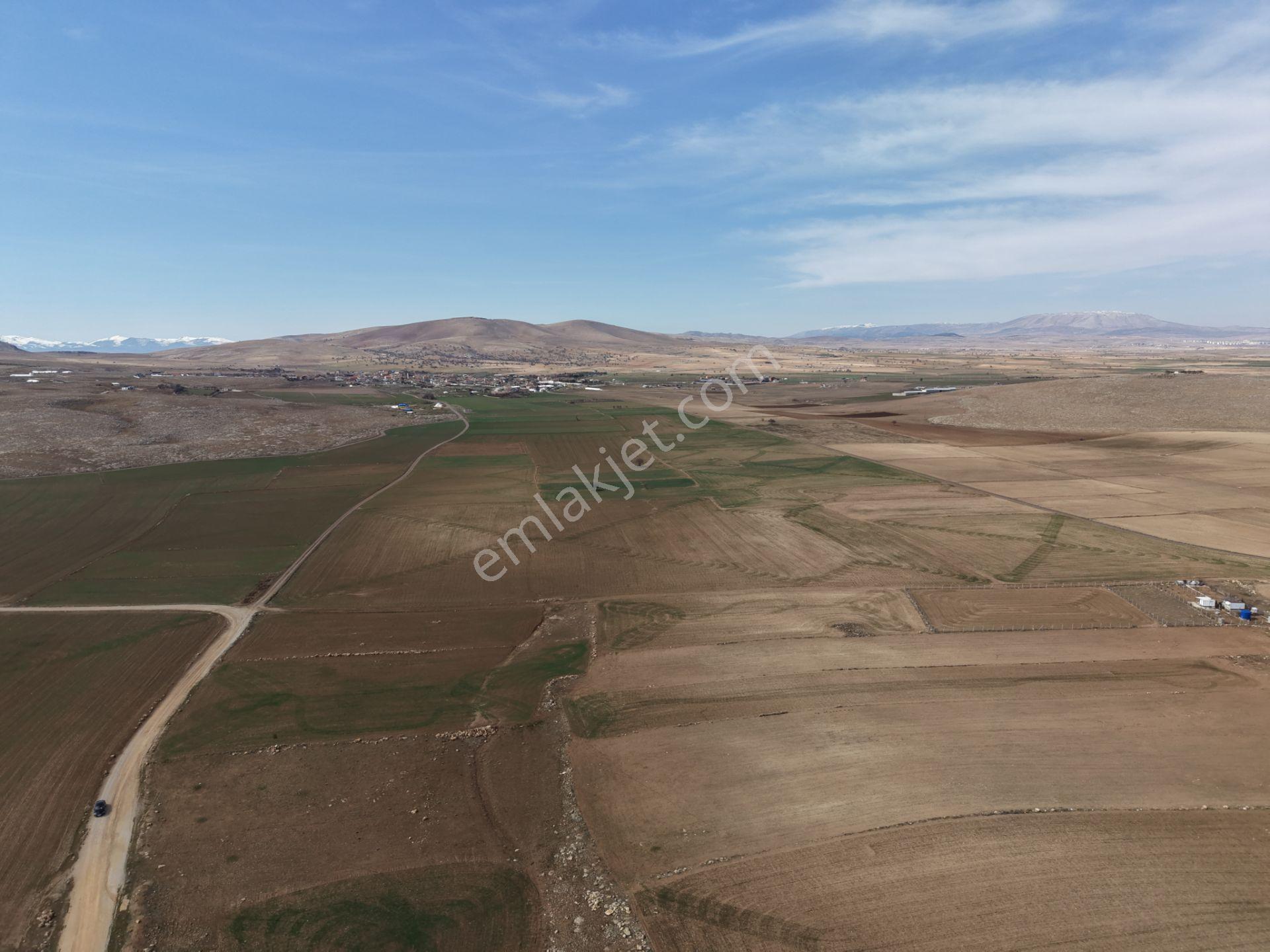 Meram Kayıhüyük'te Yola Cephe 5887 M² Satılık Tarla — fotoğraf 4