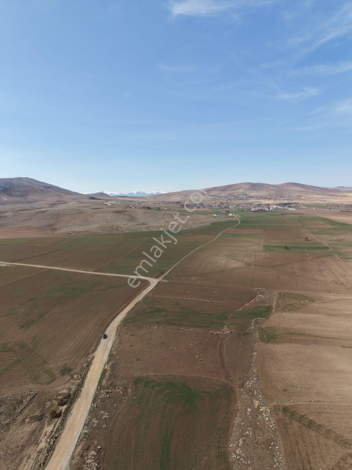 Meram Kayıhüyük'te Yola Cephe 5887 M² Satılık Tarla — fotoğraf 5