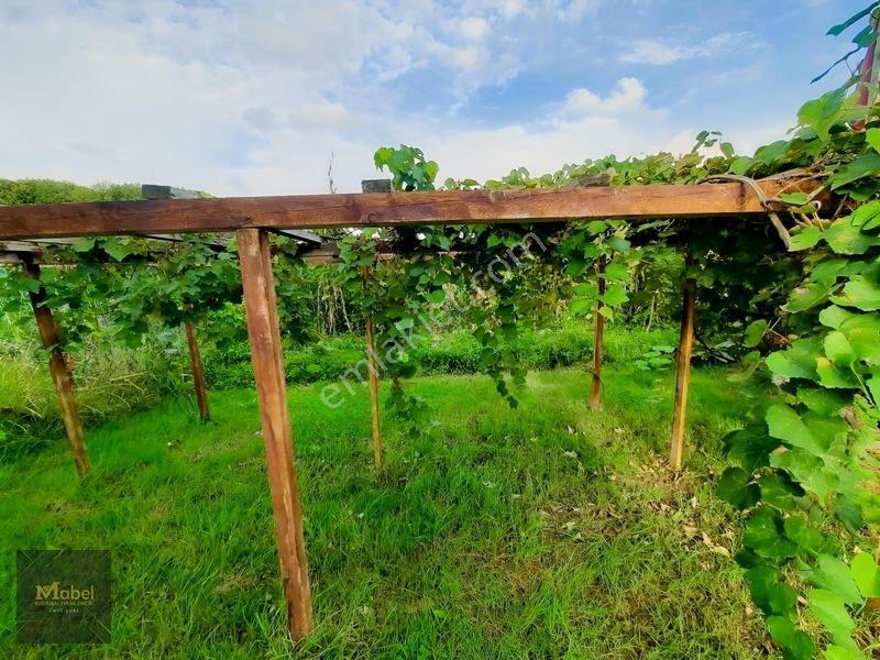 Mabel'den 1254 M2 İçerisinde Havuzlu,meyve Bahçeli,muhtşm Villa — fotoğraf 13