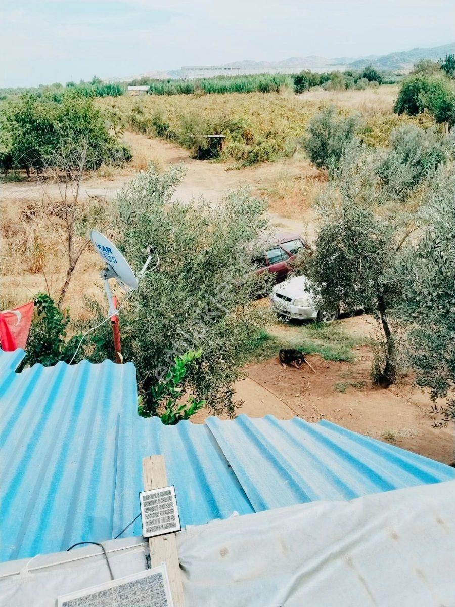 Ahmetli Gökkayada Satılık Hobi Bahçesi — fotoğraf 2