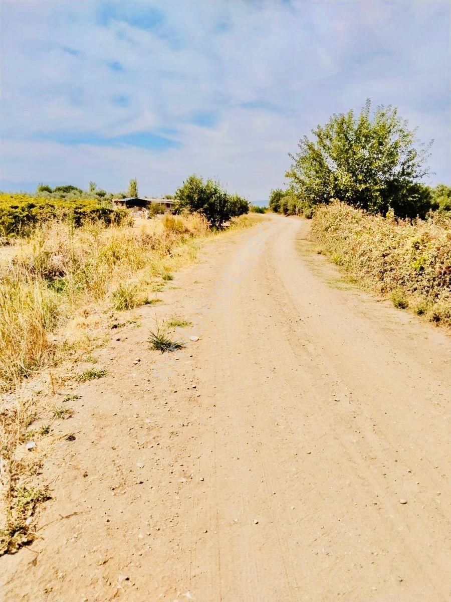 Ahmetli Gökkayada Satılık Hobi Bahçesi — fotoğraf 8