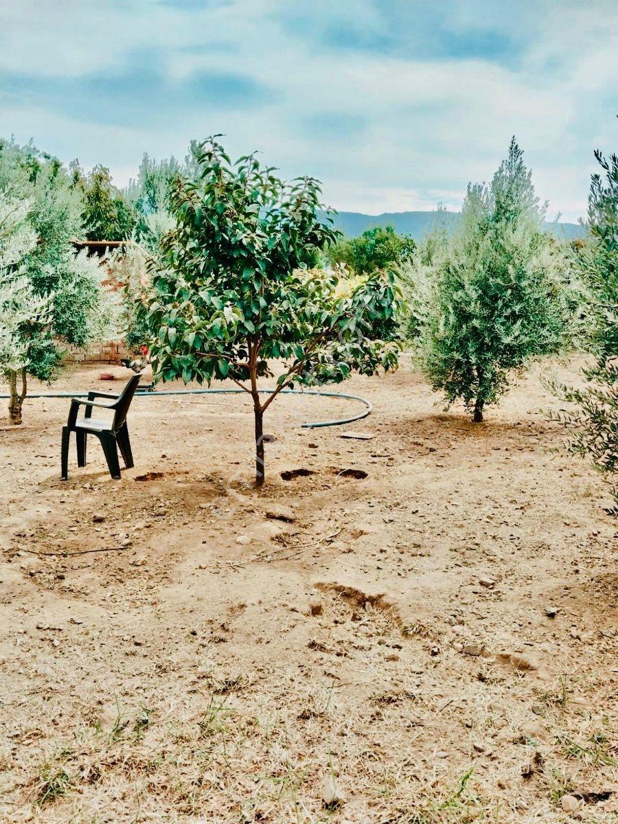 Ahmetli Gökkayada Satılık Hobi Bahçesi — fotoğraf 9