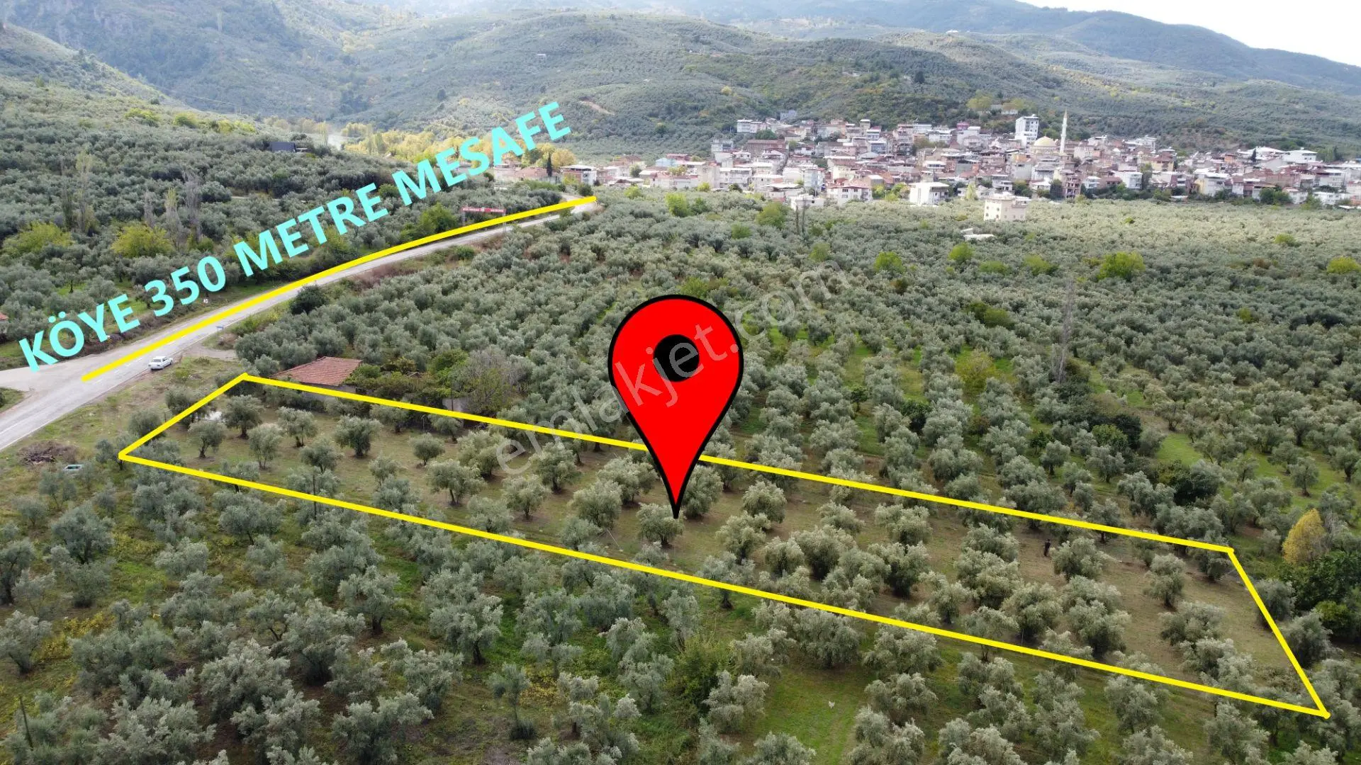 Beka'dan Sölöz Köyünde Asfalt Cepheli Göl Manzaralı Köye Yakın 2499 M2 Zeytinlik — fotoğraf 2