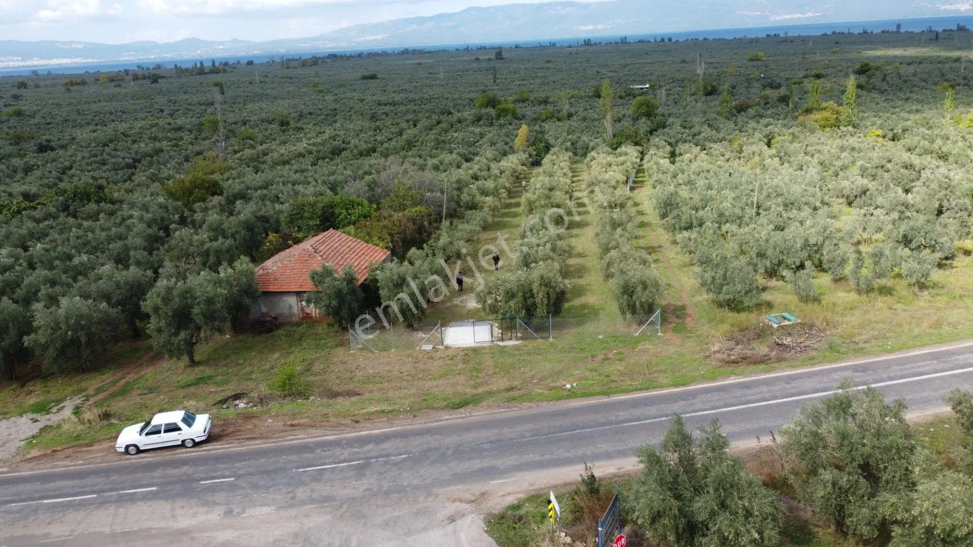 Beka'dan Sölöz Köyünde Asfalt Cepheli Göl Manzaralı Köye Yakın 2499 M2 Zeytinlik — fotoğraf 4