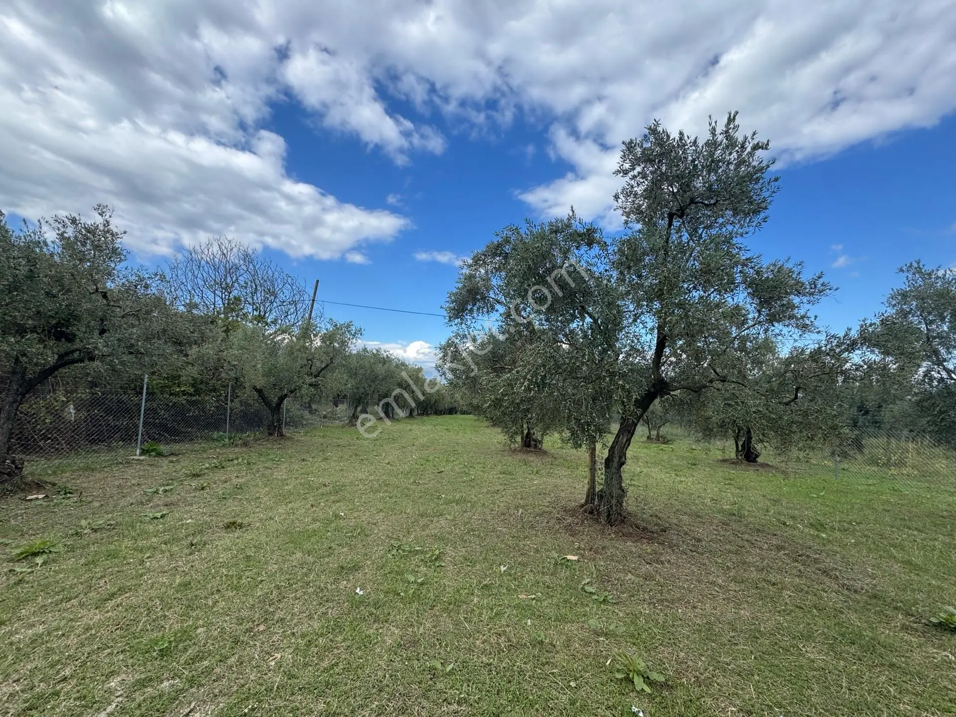 Beka'dan Sölöz Köyünde Asfalt Cepheli Göl Manzaralı Köye Yakın 2499 M2 Zeytinlik — fotoğraf 26
