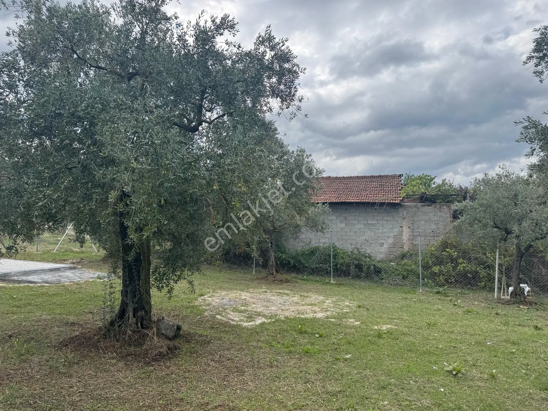 Beka'dan Sölöz Köyünde Asfalt Cepheli Göl Manzaralı Köye Yakın 2499 M2 Zeytinlik — fotoğraf 29