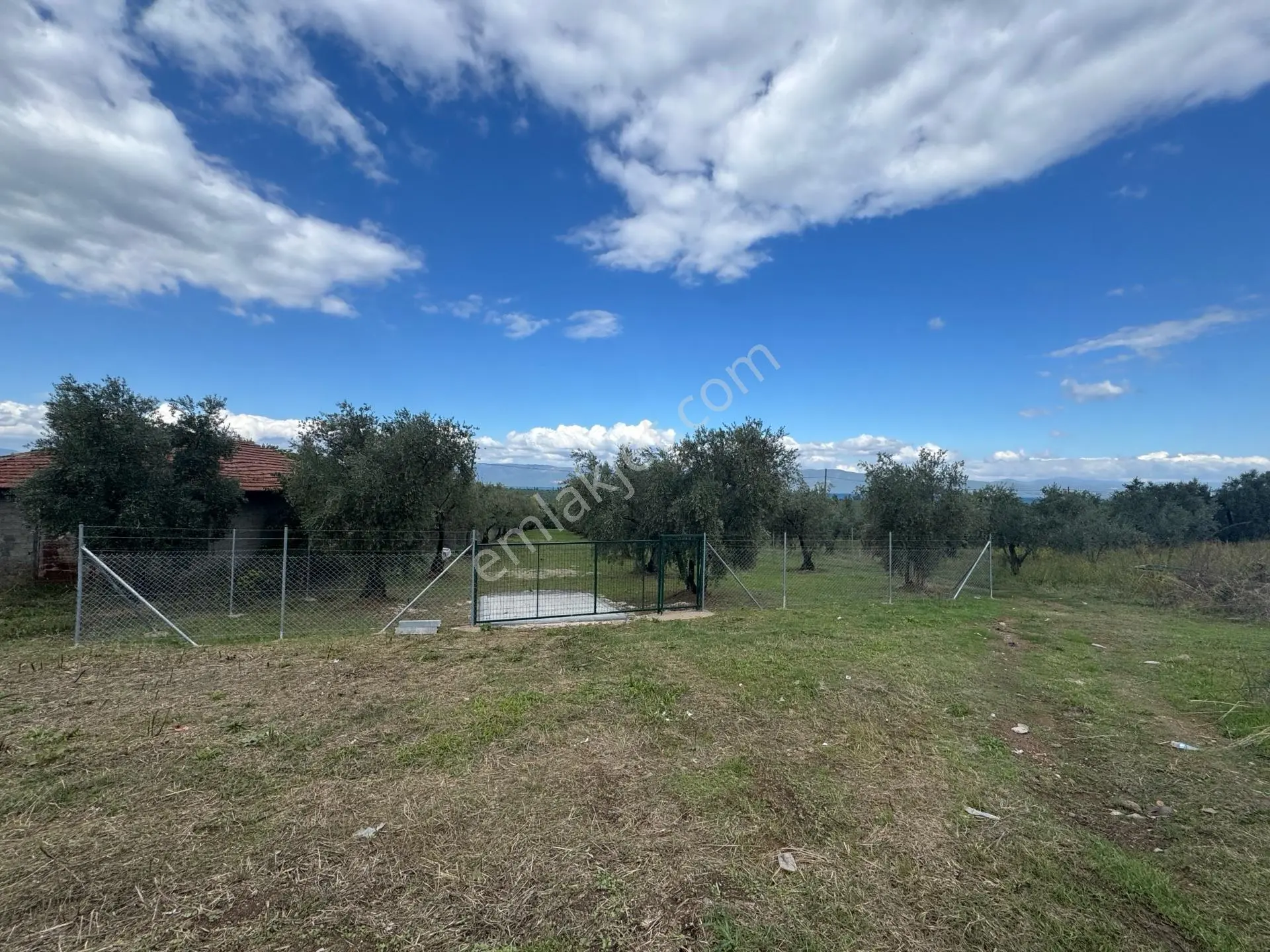 Beka'dan Sölöz Köyünde Asfalt Cepheli Göl Manzaralı Köye Yakın 2499 M2 Zeytinlik — fotoğraf 31