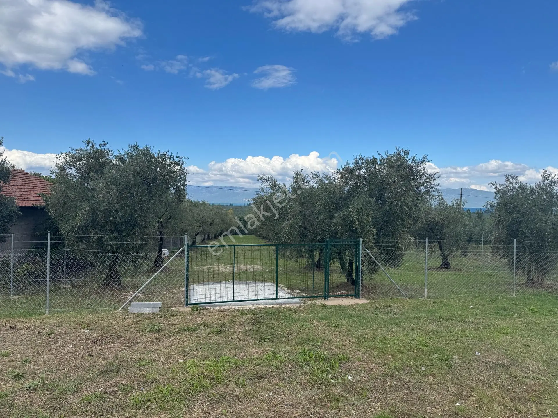 Beka'dan Sölöz Köyünde Asfalt Cepheli Göl Manzaralı Köye Yakın 2499 M2 Zeytinlik — fotoğraf 32