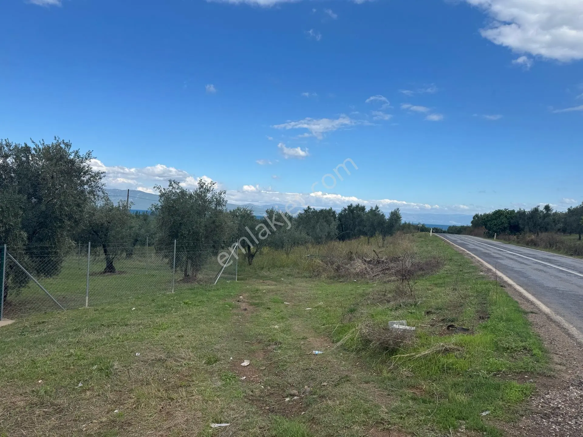 Beka'dan Sölöz Köyünde Asfalt Cepheli Göl Manzaralı Köye Yakın 2499 M2 Zeytinlik — fotoğraf 33