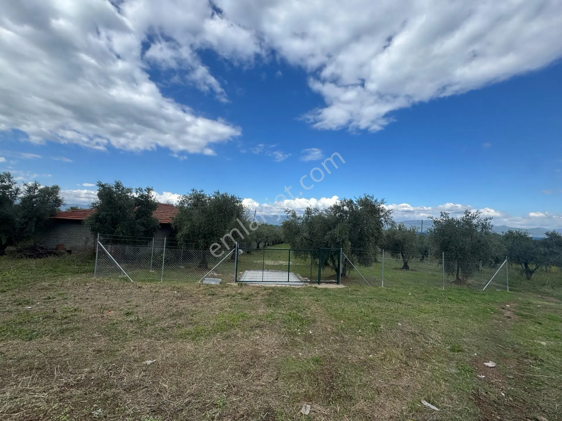 Beka'dan Sölöz Köyünde Asfalt Cepheli Göl Manzaralı Köye Yakın 2499 M2 Zeytinlik — fotoğraf 34