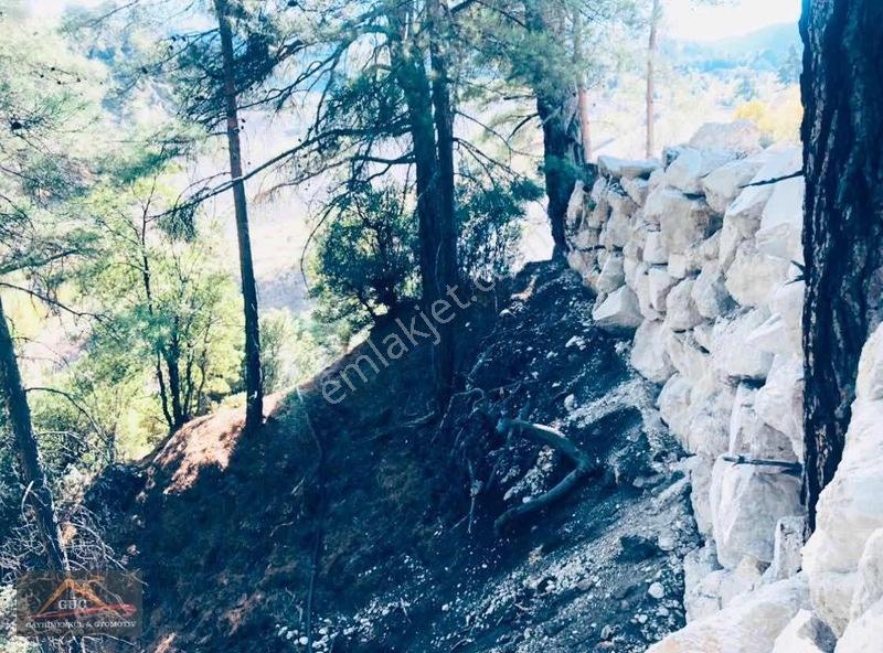 Konyaaltı Doyran Geyikbayırı Tarafı Köy İçi Tek Tapu Tarla — fotoğraf 7