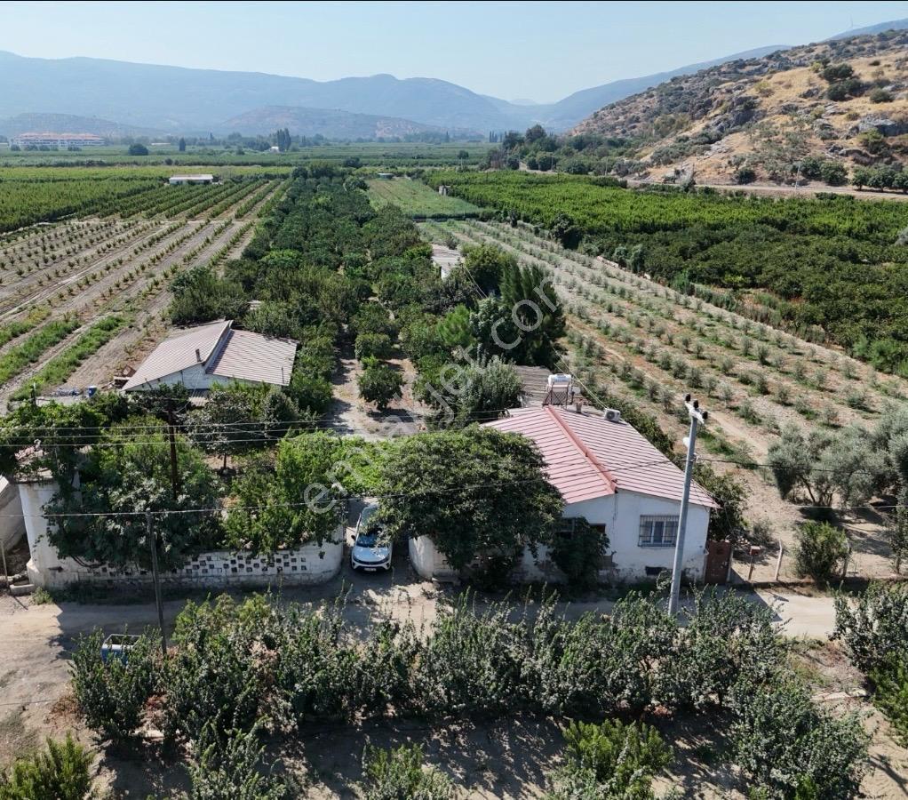 Satılık.. İzmir Selçuk'da 8.474 M2 Mandalin Bahçesi... — fotoğraf 10