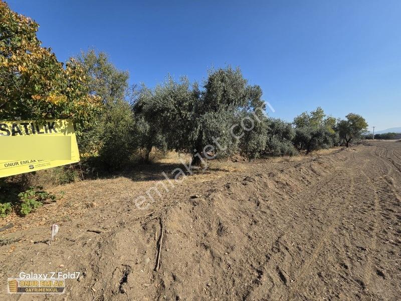 5 Kat İmarlı Çift Dairelik Arsa — fotoğraf 2