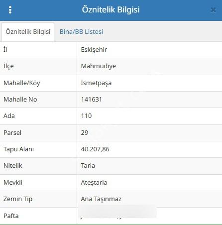 Rw Detay Dan Mahmudiye İsmet Paşada Satılık Tarla — fotoğraf 2
