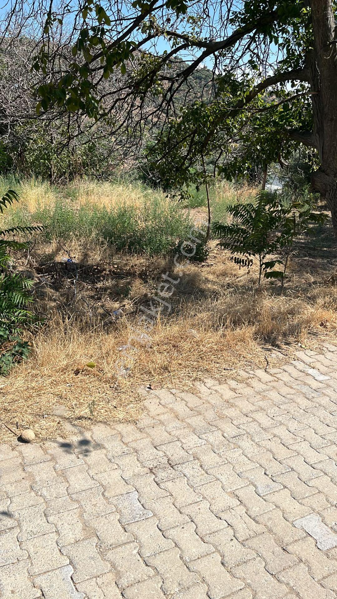 Nazilli Kestel’de Satılık 3 Adet Parsel — fotoğraf 3