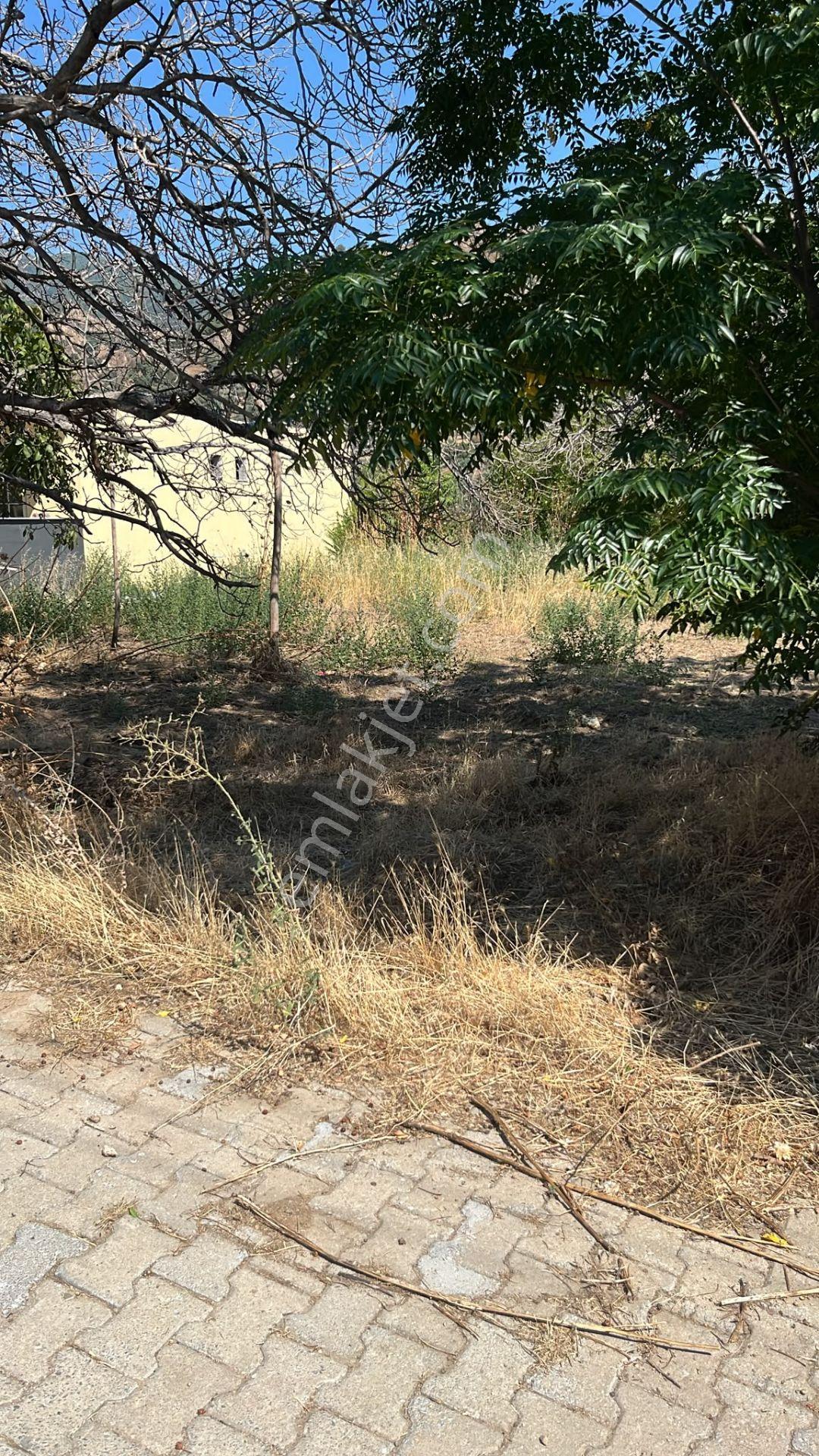 Nazilli Kestel’de Satılık 3 Adet Parsel — fotoğraf 4