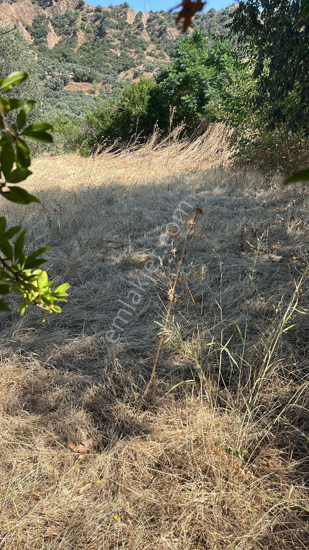 Nazilli Kestel’de Satılık 3 Adet Parsel — fotoğraf 5