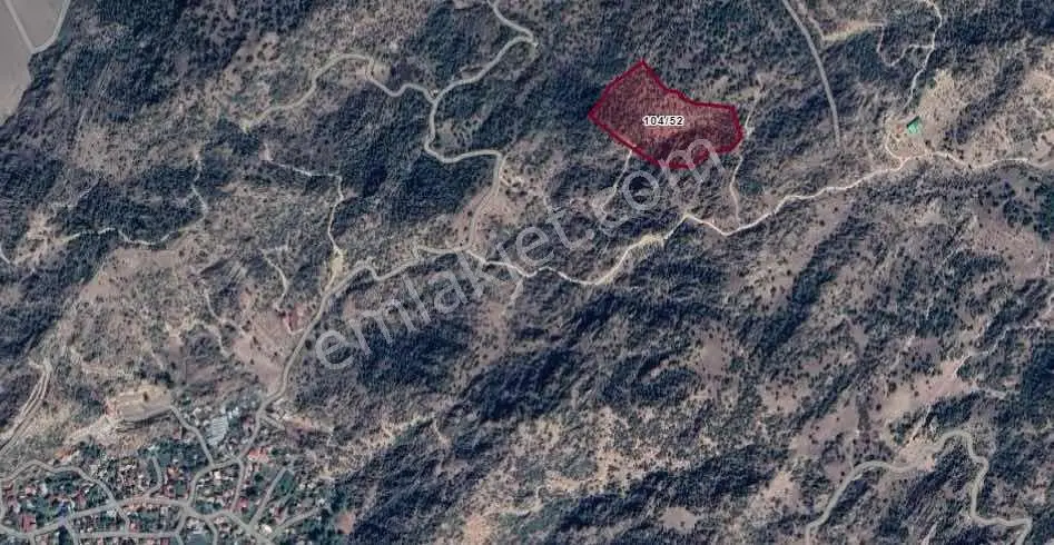 Söke Karacahayıt Satılık Fırsat Zeytinlik — fotoğraf 2