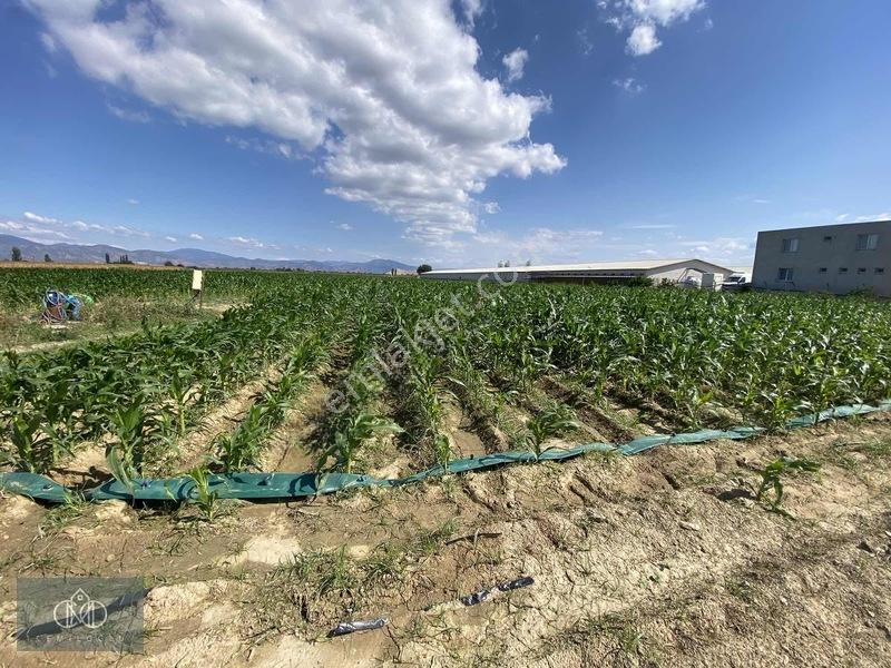 Tirede Kendi Elektriği Suyu Olan Satılık Tarla — fotoğraf 2