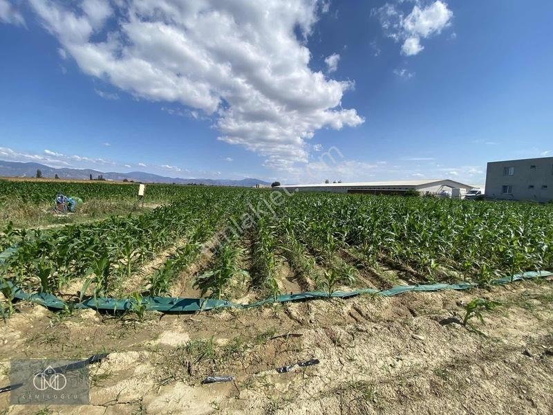Tirede Kendi Elektriği Suyu Olan Satılık Tarla — fotoğraf 3