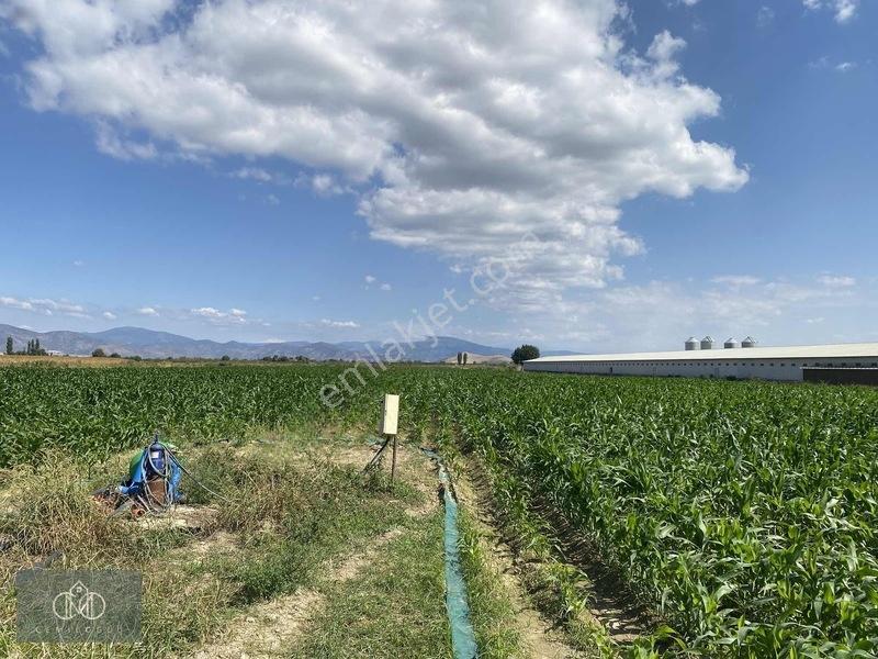 Tirede Kendi Elektriği Suyu Olan Satılık Tarla — fotoğraf 6