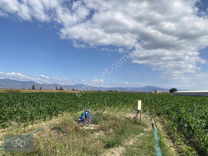 Tirede Kendi Elektriği Suyu Olan Satılık Tarla — fotoğraf 7