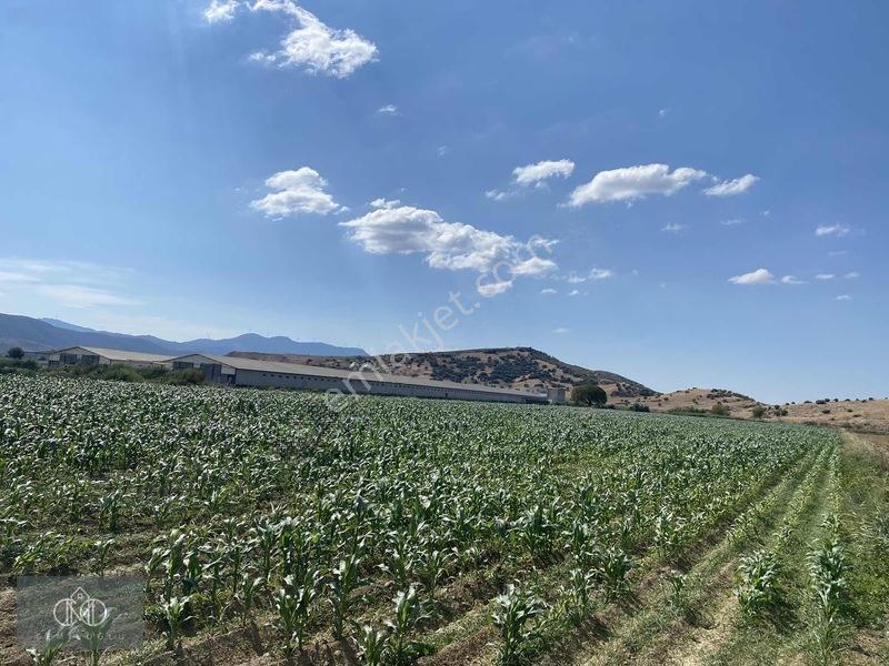 Tirede Kendi Elektriği Suyu Olan Satılık Tarla — fotoğraf 8