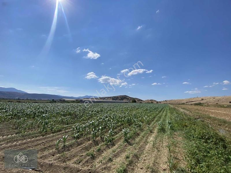 Tirede Kendi Elektriği Suyu Olan Satılık Tarla — fotoğraf 9