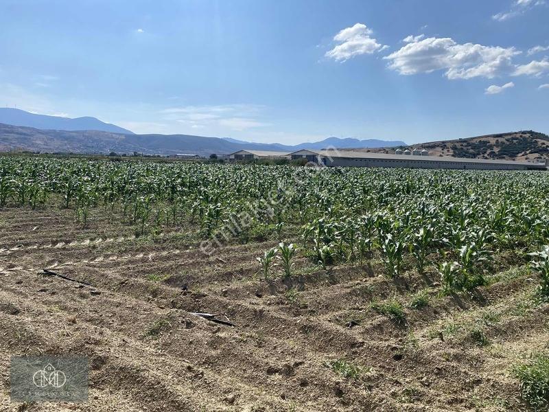 Tirede Kendi Elektriği Suyu Olan Satılık Tarla — fotoğraf 11