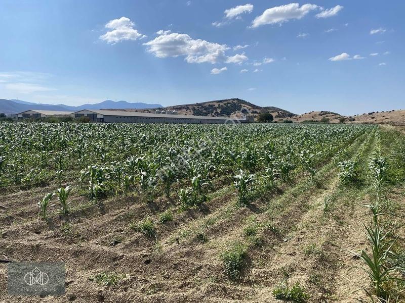 Tirede Kendi Elektriği Suyu Olan Satılık Tarla — fotoğraf 12